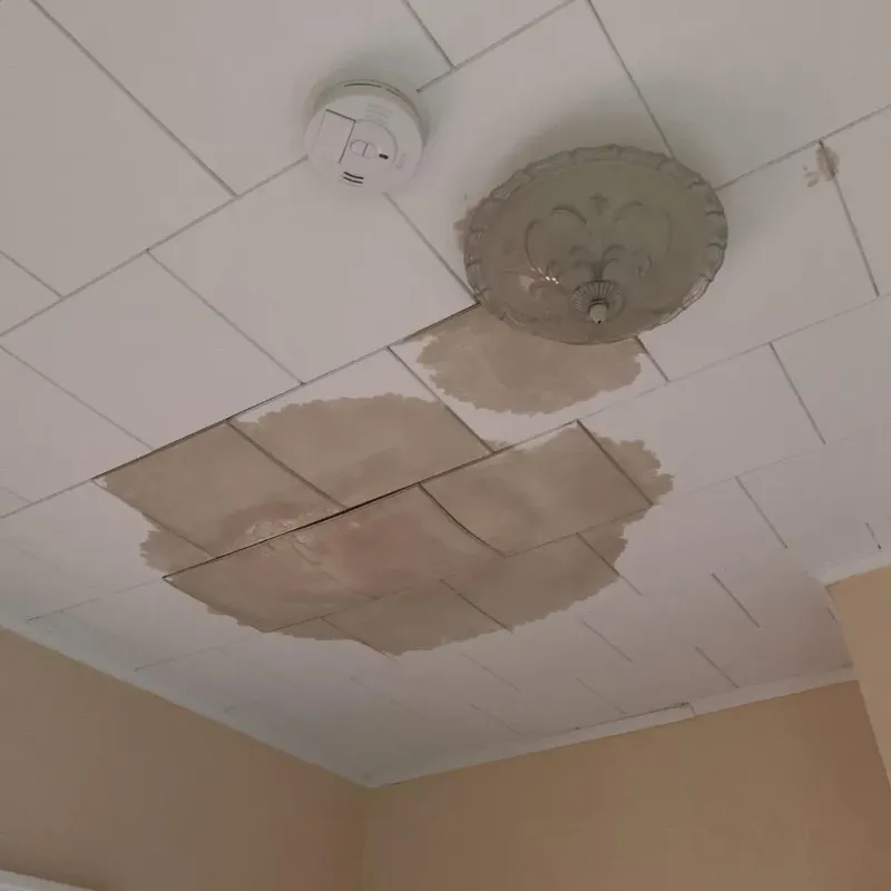 Ceiling Water Damage Repair in Poplarville, MS