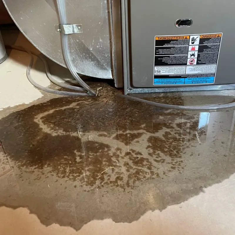 Pipe Burst and Leak Restoration in Poplarville, MS