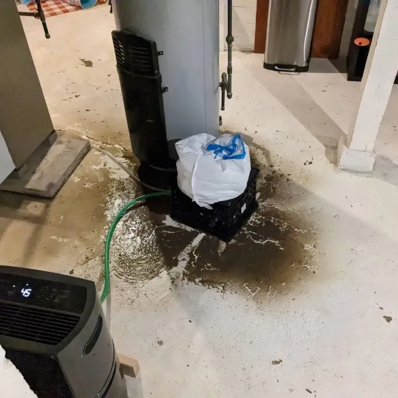 Sewage Backup Cleanup Service in Poplarville, MS